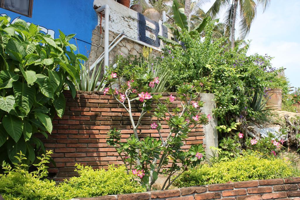Hotel Buena Vista Puerto Escondido  Esterno foto
